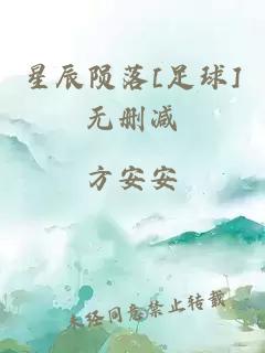 星辰陨落[足球]无删减