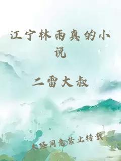 江宁林雨真的小说