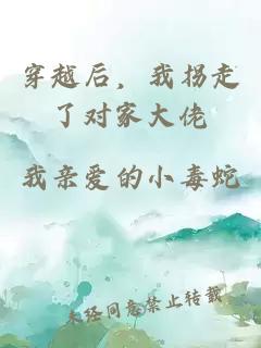 穿越后，我拐走了对家大佬