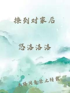 撩到对家后