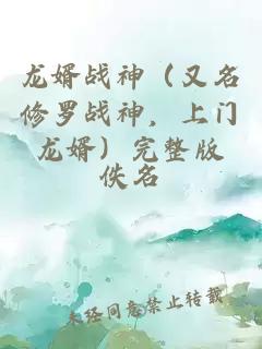 龙婿战神（又名修罗战神，上门龙婿）完整版