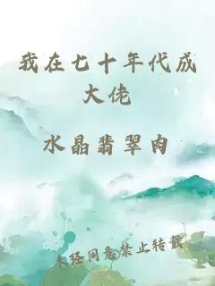 我在七十年代成大佬